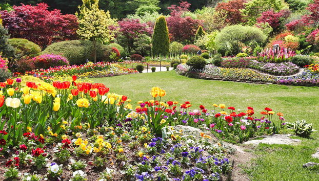 Pocheon Day Trip - Foto 2