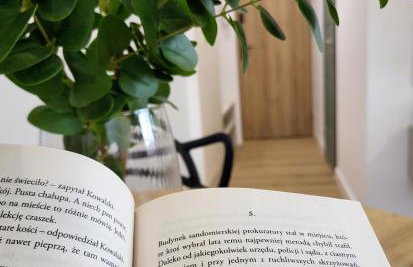 MoreLove II - Photo 4