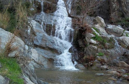 Studio Kalogridis - Foto 30