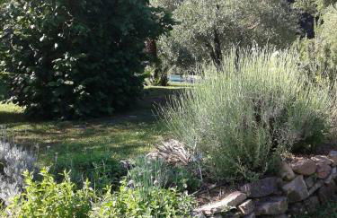 Podere Stollo - Foto 32