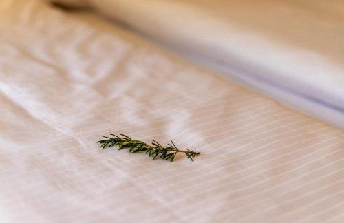 Apartmani Višnja - Photo 73