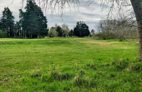 Grand appartement 3 pièces, terrasse au sud et mer à 80m - Photo 37