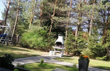 Mazurska Niwa - Foto 7