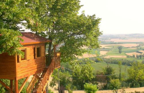 Casa sull'Albero Aromantica - Foto 1