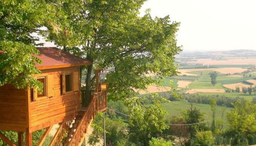Casa sull'Albero Aromantica - Foto 1