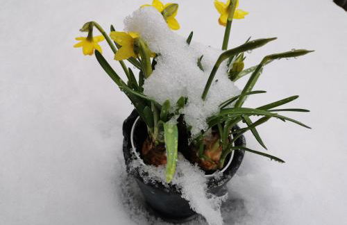 Das goldene Haus - Foto 25