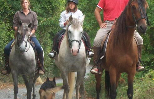 Casa Rural el Ribero I - Photo 37
