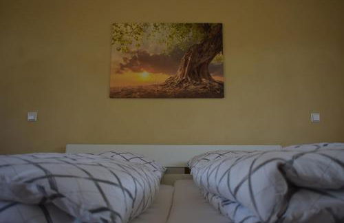 Palmengarten - Foto 31