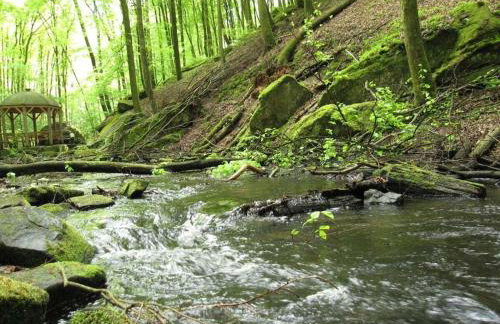 Flower magic at the Birnbaumhof - Foto 20