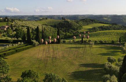 Fattoria la Loggia - Foto 7