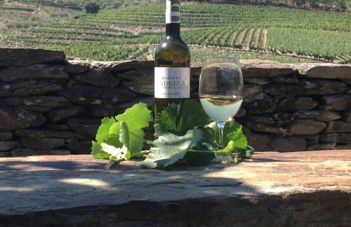 Quinta da Padrela Winery House - Foto 61