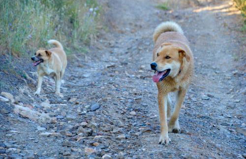 Guesthouse Quinta do Vale - Foto 51