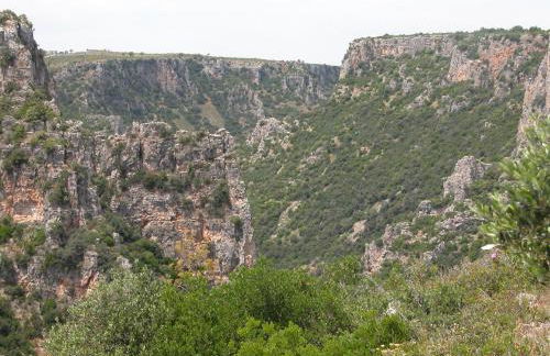 Masseria La Gravina - Foto 59