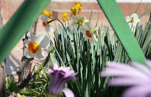 La casa de mamá - Foto 7