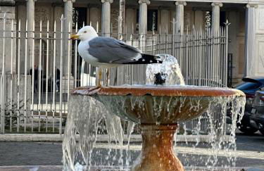 Pantheon Palazzo Nari - Foto 52