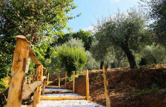 AGRITURISMO TERRA VOLONTERI - Foto 13