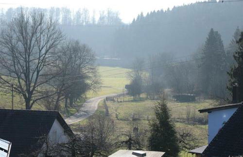 Zurück zur Wurzel - Foto 6