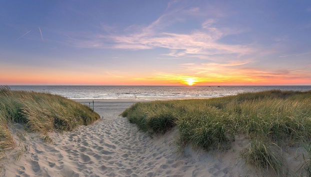 Holiday Home in De Koog Near Forest - Foto 5, Exterior