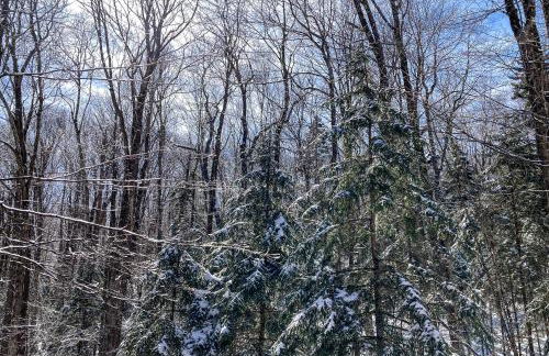 Little Bend Haven - Foto 27