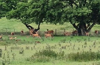 Leaf Tree Cottage, close to Coast, Lakes and Fells - Foto 36