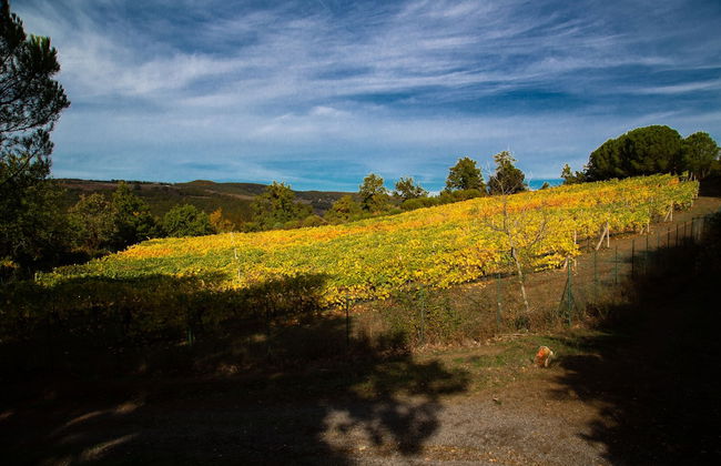 Le Roghete - Foto 39