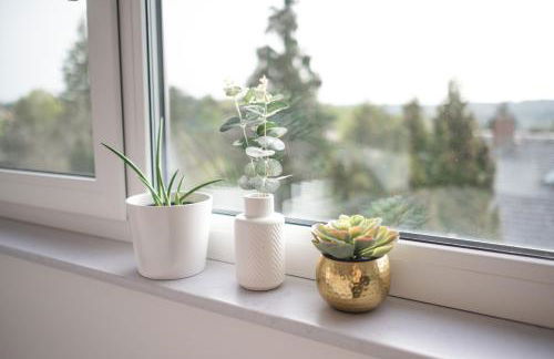 bei Dresden - N8quartier - Foto 43