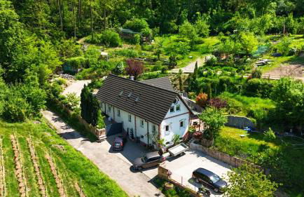 Direkt am Wald mit Panoramablick bis zur Pfalz - Foto 4