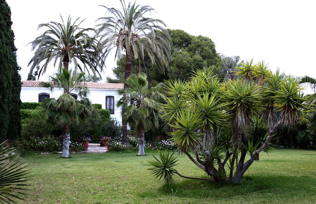 Finca Belon - Foto 15