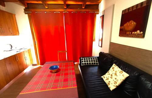 Flamencos del cerrado - Photo 66