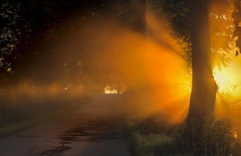 Jerzwałd 14 - Foto 19