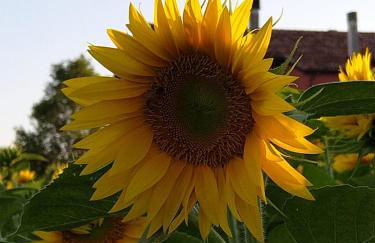 Agriturismo Quadrifoglio Relax - Foto 105