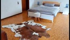 Green Home Mittenaar - Foto 3