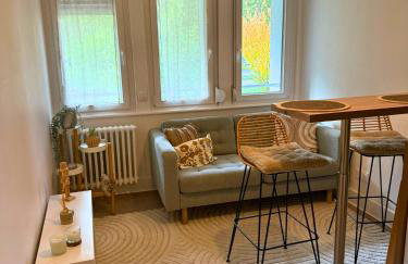 La Suite de L'Orangerie - Cosy - Centre Ville - Commerces à Proximité - Foto 9