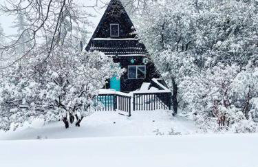 Dog Friendly A-frame Hot Tub Nature Views - Foto 10