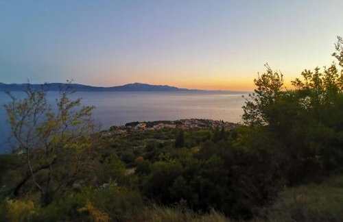 Apartmani "Allegro" - Foto 31