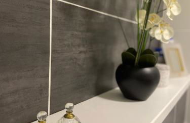 Studio-Champagne Lanson-Proche Hôpitaux-Universités-Parc Léo Lagrange - Foto 24