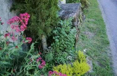 joli gîte plain pied - Foto 14