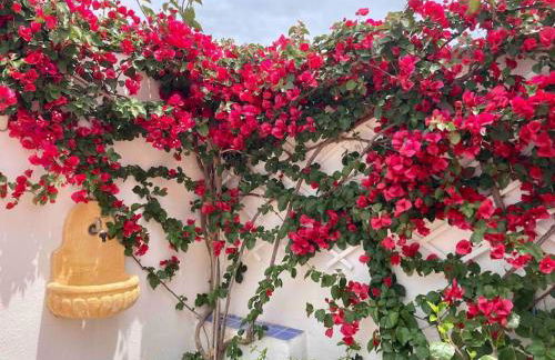 Flamingo's House in Sant'Antioco, Sardinia - Foto 19