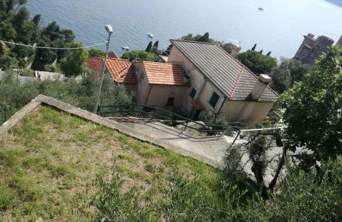 Zoagli, the house of the sun - Foto 9