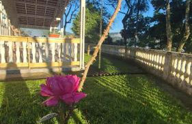 SÍTIO ALTO DA COLINA - Foto 3