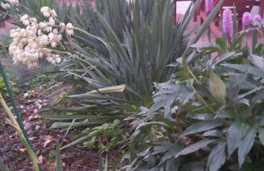 Leśne Zacisze Kretowiny 88 nad jeziorem Narie z własnymi pomostami apartamenty sezonowe lato - Foto 21