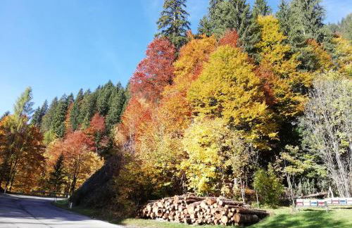 Cesa de Conesel - Foto 58