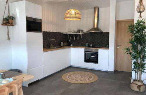 Bico das flores - Foto 18