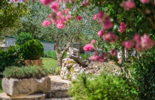 Villa Ruza - Foto 36