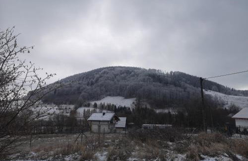 Domek Nasze Miejsce - Foto 29