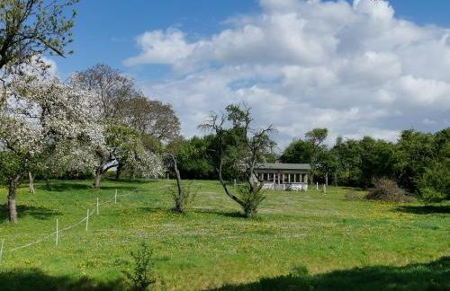 Gutshaus Thorstorf FeWo Poel - Foto 19