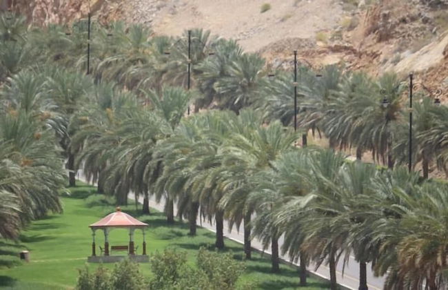 Pioneer Hotel Apartments - Photo 19