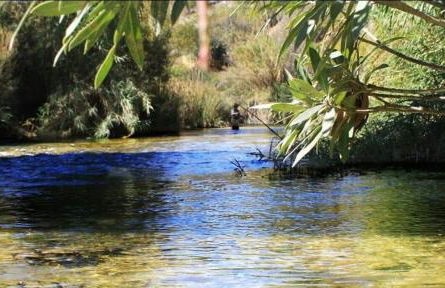 Casa Rural Puente Del Segura - Foto 57