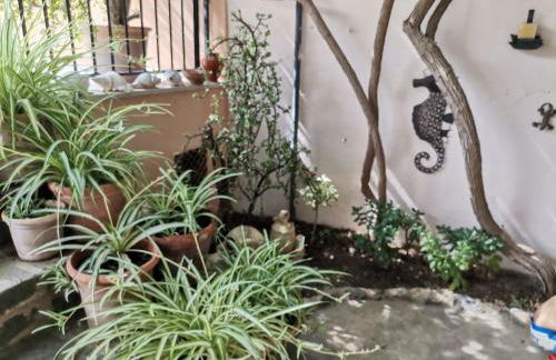 En lugar tranquilo alejado de zonas turisticas - Foto 42