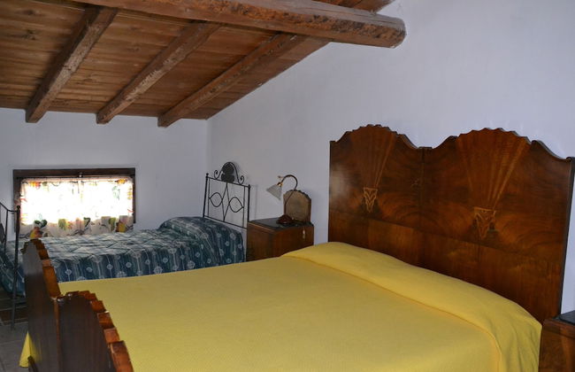 Fattoria Il Santo - Foto 9